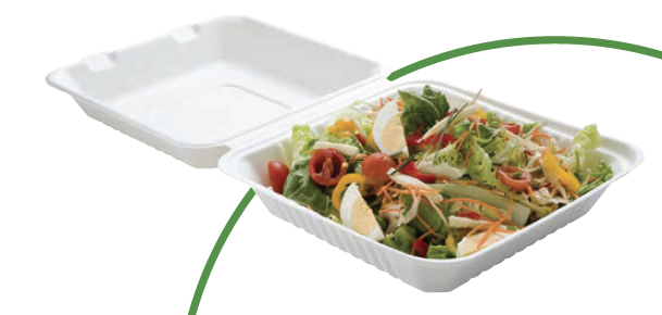 LUNCHBOX BAGASSE 1 COMPARTIMENT /50 (PCB4)