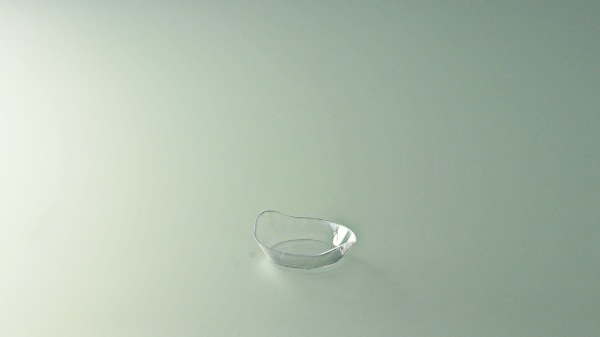 Verrine /50 mise en bouche cassollette ovale (PCB20)