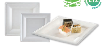 [EB0022] ASSIETTE CARREE BAGASSE 26CM /50 (PCB10)